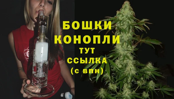 винт Рославль