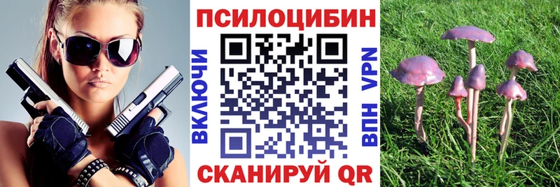ссылка на мегу ссылка  Мариинский Посад  Галлюциногенные грибы ЛСД 